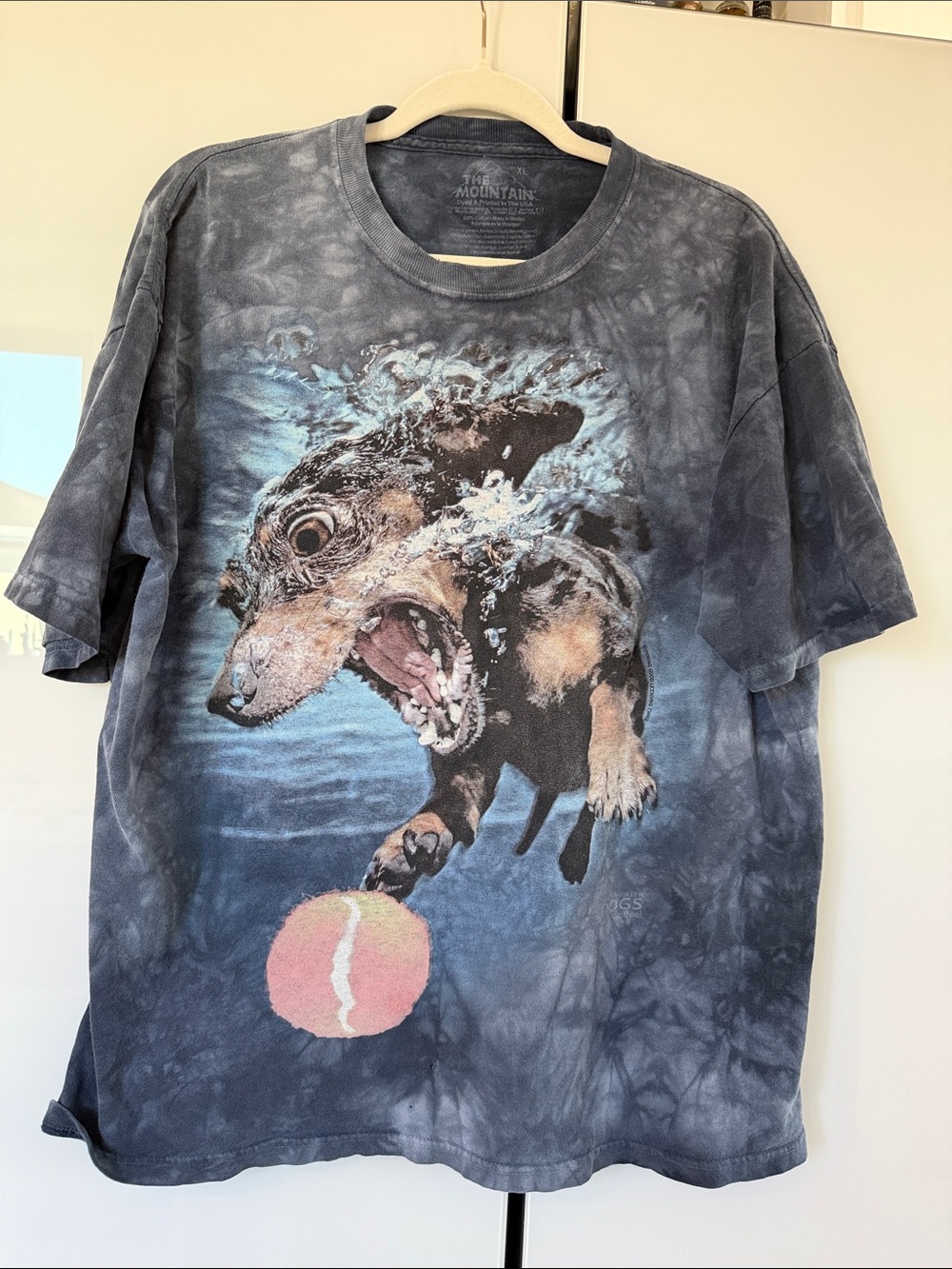 The Mountain Gray Tie-Dye Dog Graphic Tee with Tennis Ball
